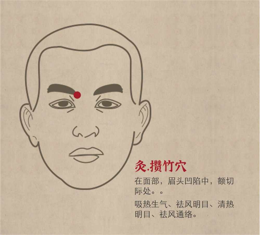 Location of Cuanzhu BL-2 in the notch at the inner end of the eyebrow
