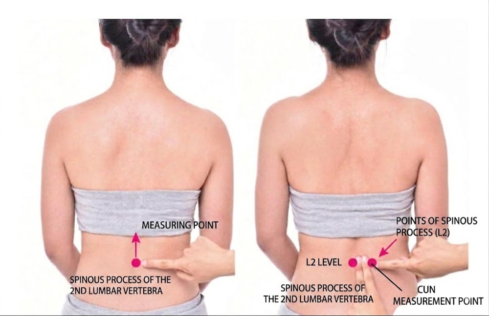 Location of Shenshu BL-23 acupoint, either side of the spine at waist level