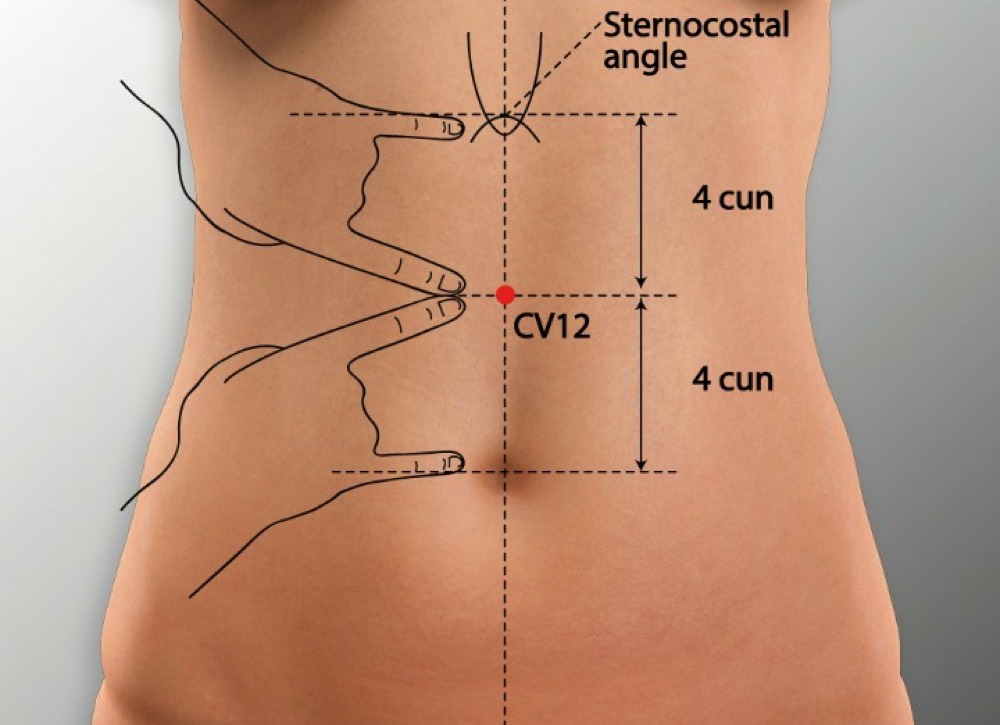 Location of Zhongwan CV-12 acupoint, midway between the navel and the base of the breastbone