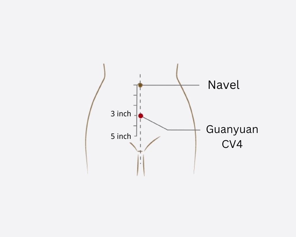 Location of Guanyuan CV-4 acupoint, about four finger-widths below the navel on the midline