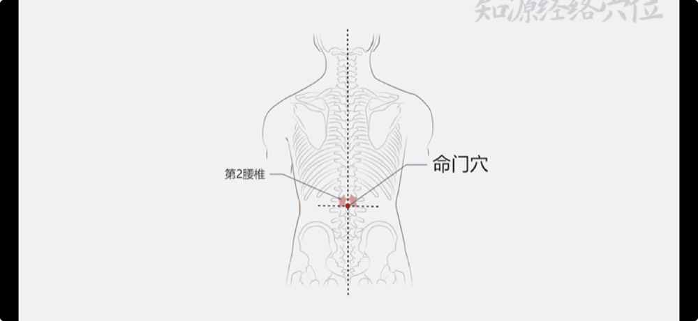Location of Mingmen GV-4 acupoint, on the midline of the low back at waist level