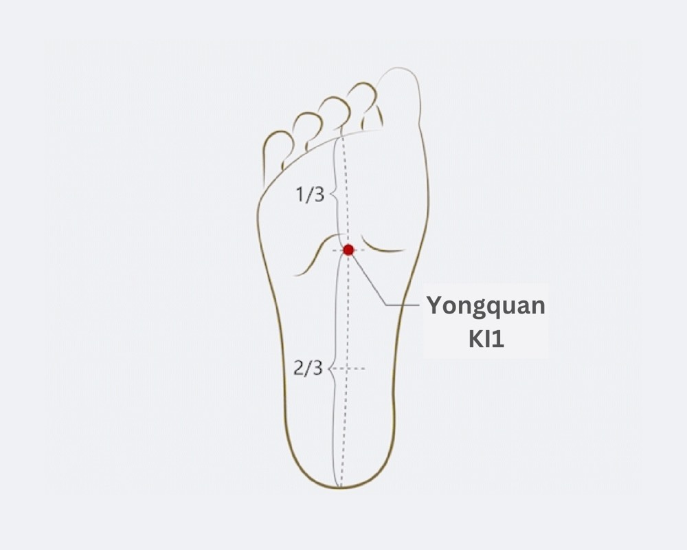 Location of Yongquan KI-1 acupoint, in the hollow on the sole about a third of the way down from the toes