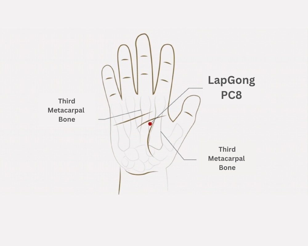 Location of Laogong PC-8 in the middle of the palm