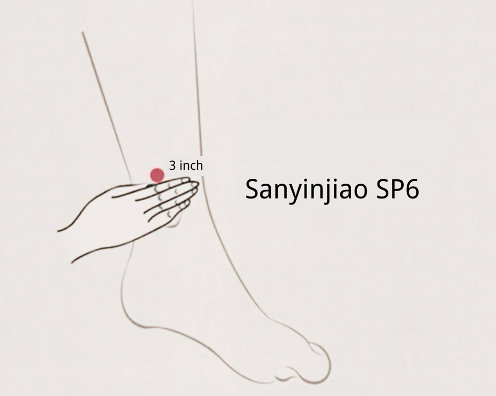 Location of Sanyinjiao SP-6, four finger-widths above the inner ankle bone