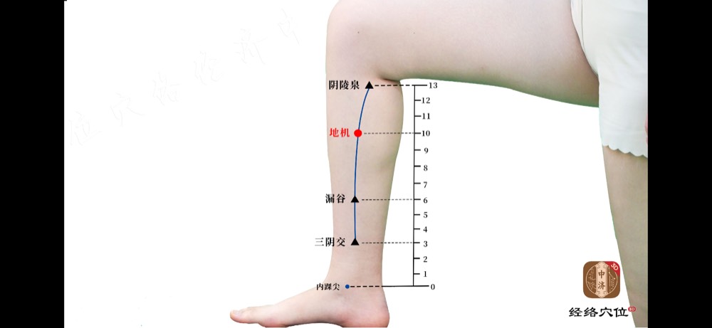 Location of Yinlingquan SP-9 acupoint, in the hollow below the inner knee